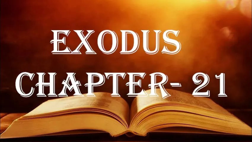 Exodus Chapter Freebiblestudyhub Com